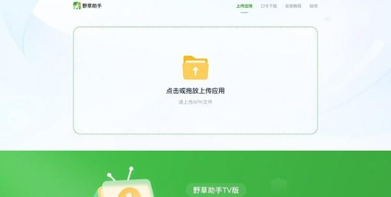 野草助手电视版截图2