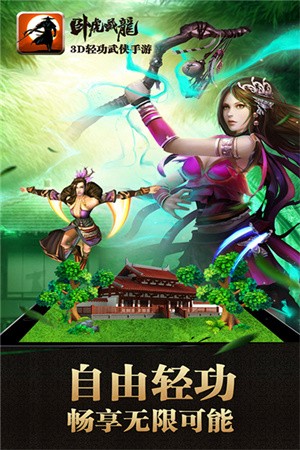 卧虎藏龙截图1
