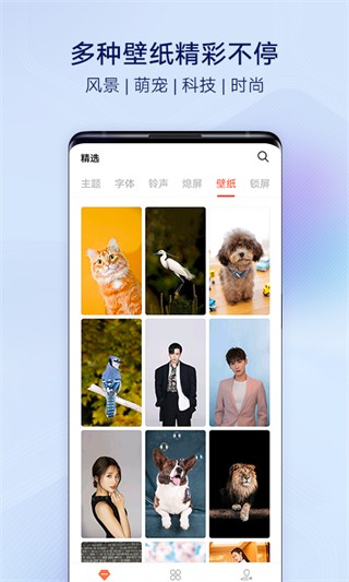 I主题APP截图2
