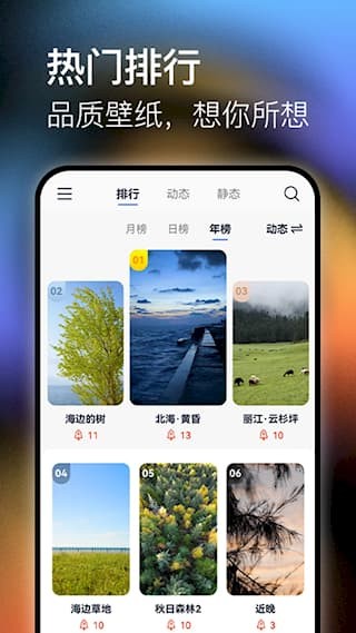极壁纸APP截图1