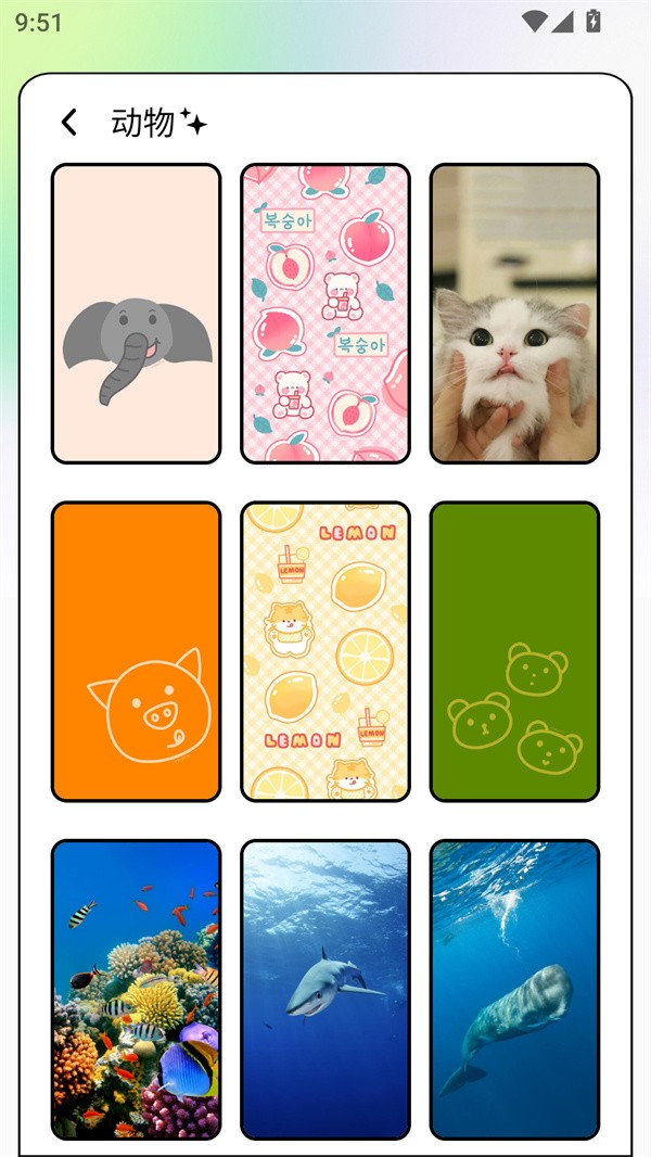 Unsplash截图2