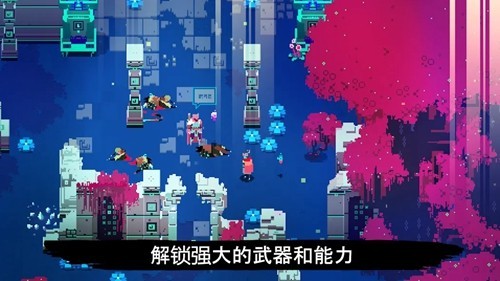 Hyper Light Drifter截图4