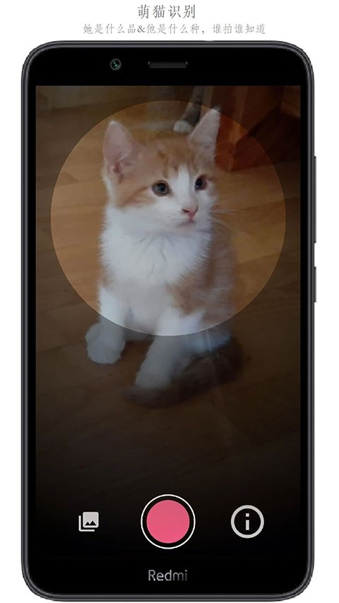 万物识别APP2