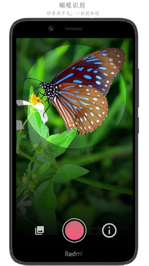 万物识别APP1