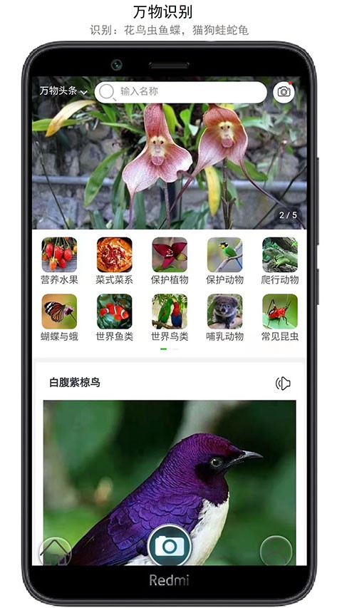 万物识别APP3