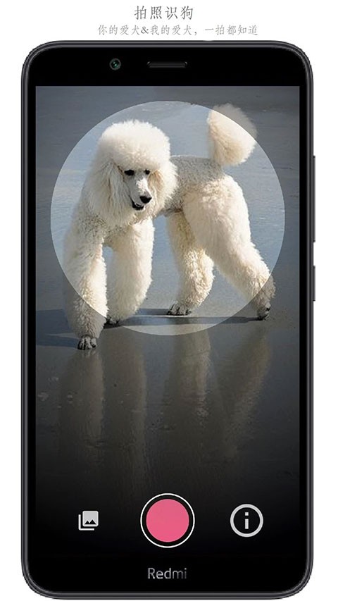 万物识别APP4