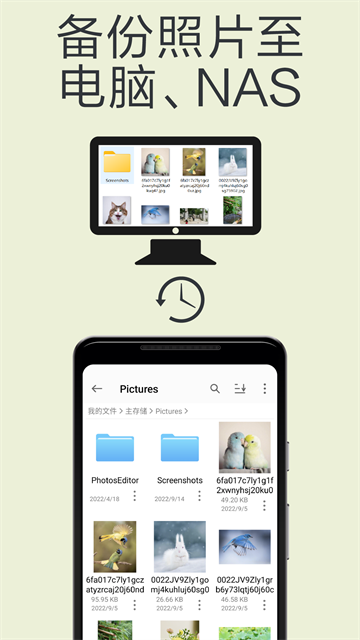 猫头鹰文件截图4