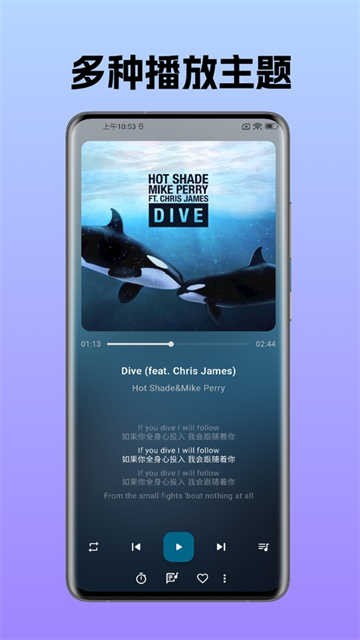 棉花音乐截图4