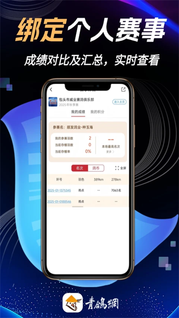青鸽网4