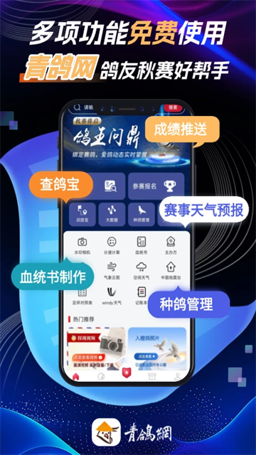青鸽网1