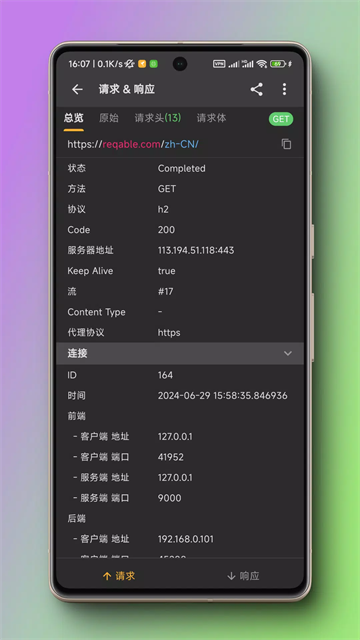 Reqable(小黄鸟抓包)截图2