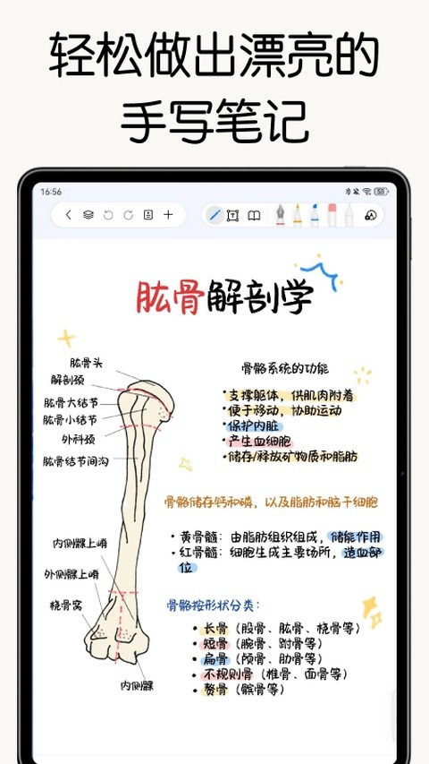 自由笔记app1