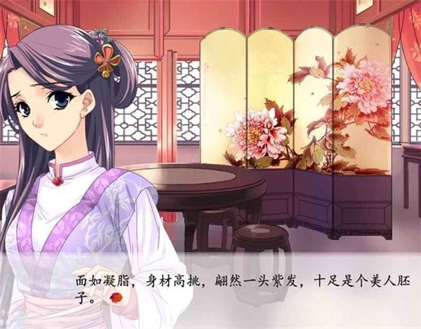 红楼梦林黛玉与北静王截图2
