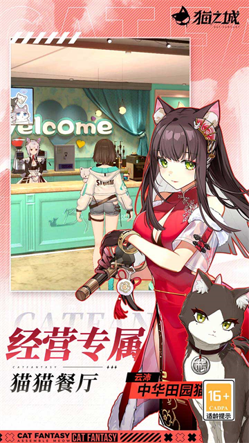 猫之城截图2