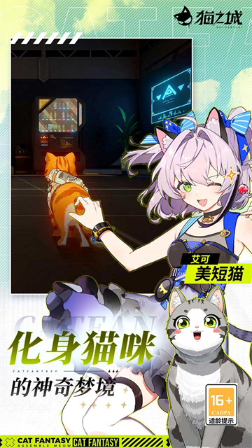 猫之城截图4