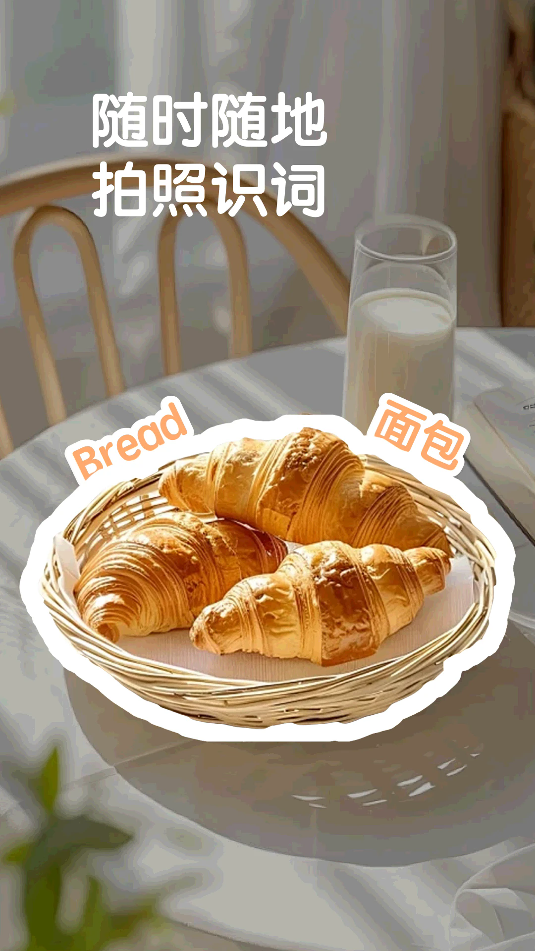 拍物识词APP3