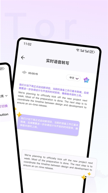 ViiTor实时翻译5