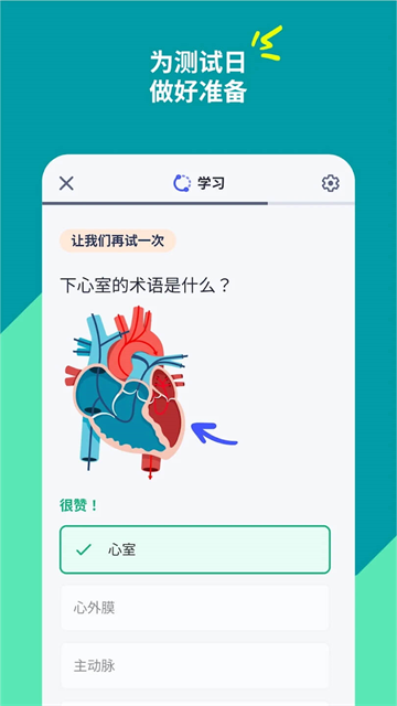 Quizlet2