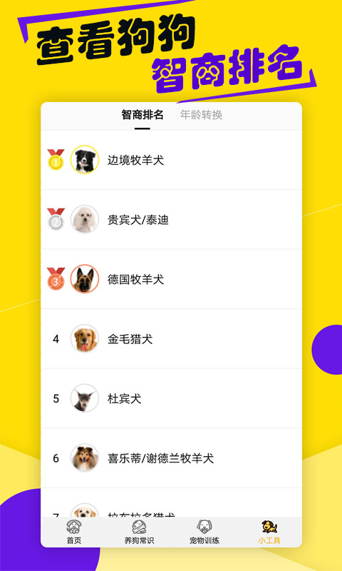 狗语翻译器截图4