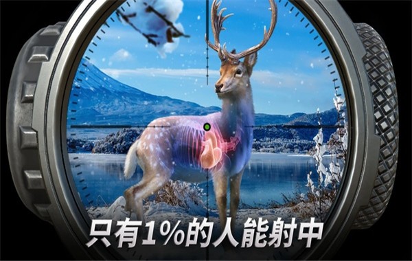 狩猎冲突截图4