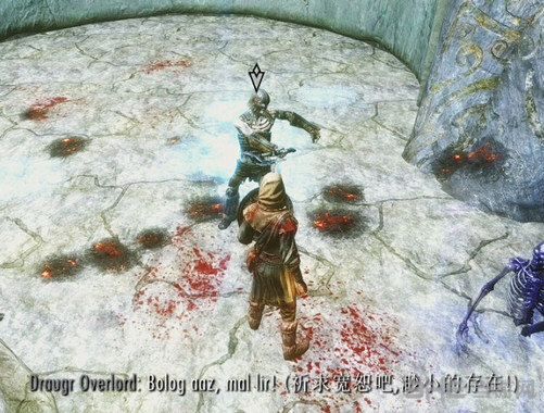 上古卷轴5天际有趣的尸鬼独白