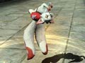 真三国无双7支援兽介绍和入手方法