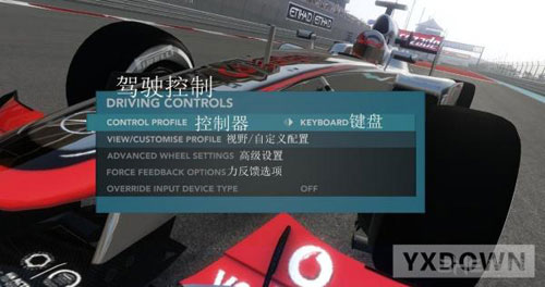 F1 2012简单选项中文翻译4
