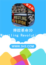 摔跤革命3D电脑版