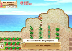 牧场物语希望之光优质羊毛怎么获得 优质羊毛获取方法