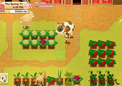 牧场物语希望之光怎么玩比较好 新人上手指南