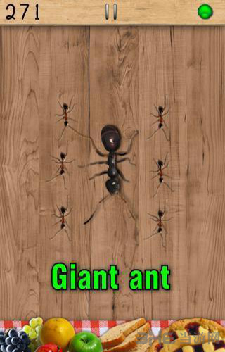 打蚂蚁截图4