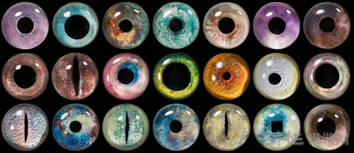 上古卷轴5天际兽眼mod