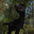 恐龙森林v1.0三项修改器