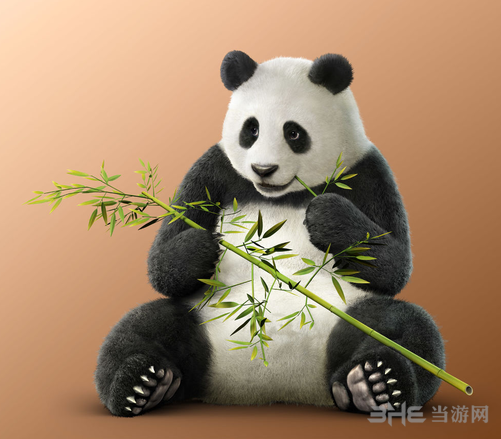 铁拳7熊猫人物图片