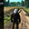 巫师3：狂猎v1.31日本武士风格钢刀MOD