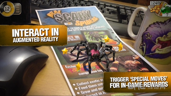 真正可怕的蜘蛛4