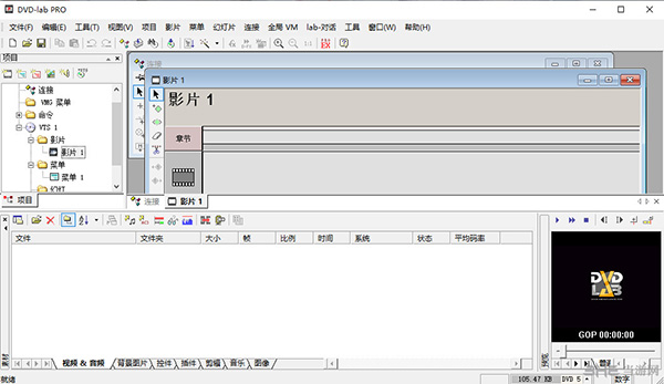 DVD lab Pro截图1