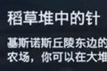 刺客信条奥德赛稻草堆中的针答案 稻草堆中的针陶片位置