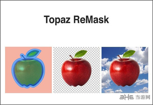 Topaz Remask 5图片2