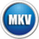 闪电MKV/AVI转换器