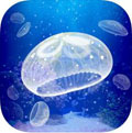 ellyfish Aquarium Free手游