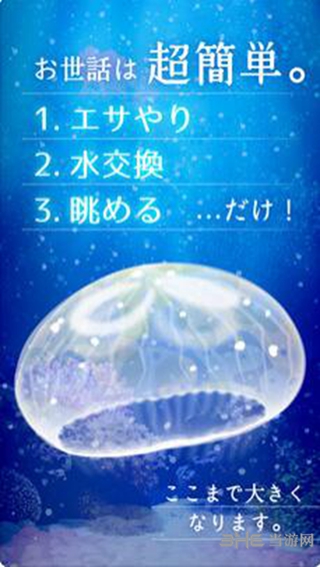 ellyfish Aquarium Free手游截图3