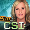 CSI暗罪谜踪