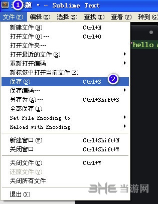 Sublime Text图片9