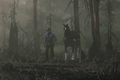 《荒野大镖客：救赎2》PC版首支预告曝光 提供更强画面