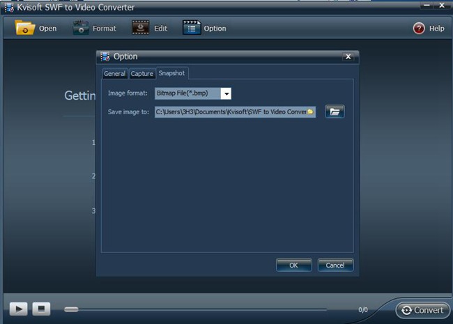 Kvisoft SWF to Video Converter图