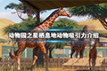 动物园之星栖息地动物吸引力一览