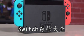 switch存档大全