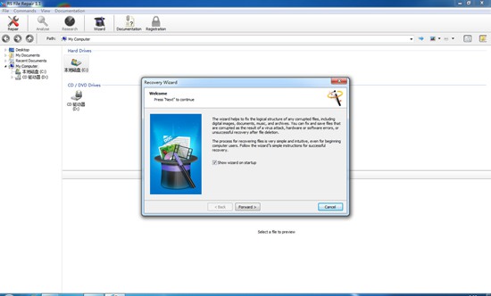 RS File Repair(文件修复软件)截图1