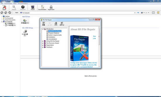 RS File Repair(文件修复软件)截图3